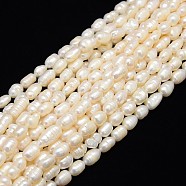 Natural Cultured Freshwater Pearl Beads Strands, with Screw Thread, Rice, Creamy White, 7~8mm, Hole: 0.8mm, about 38pcs/strand, 13.77 inch~14.17 inch(PEAR-L001-A-20)