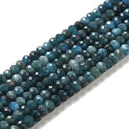 Natural Apatite Beads Strands, Rondelle, Faceted, 5.5x4mm, Hole: 0.9mm, about 94~95pcs/strand, 15.43~15.63''(39.2~39.7cm)(G-B074-A02-02)