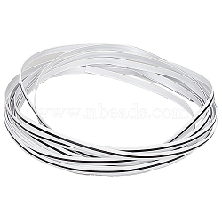 Plastic Imitation Cane Wire Cord, Flat, Snow, 8mm(WCOR-GF0001-03B)