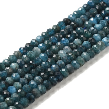 Natural Apatite Beads Strands, Rondelle, Faceted, 5.5x4mm, Hole: 0.9mm, about 94~95pcs/strand, 15.43~15.63''(39.2~39.7cm)