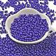Baking Paint Glass Seed Beads(SEED-K009-01A-09)-2