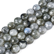 Natural Labradorite Beads Strands, Faceted, Flat Round, 6x4.5mm, Hole: 0.8mm, about 59~60pcs/strand, 14.17~14.57 inch(36cm~37cm)(G-S354-24-A)