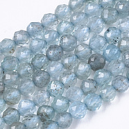 Natural Apatite Beads Strands, Round, Faceted, 2mm, Hole: 0.7mm, about 155pcs/strand, 15.75 inch(40cm)(G-R462-026A)