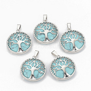 Synthetic Turquoise Pendants, with Brass Findings, Flat Round with Tree of Life, Dyed, Platinum, 30.5x27x8mm, Hole: 7x3mm(G-S292-10B-P)