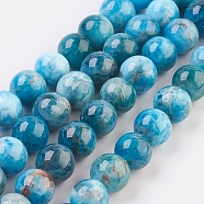 Natural Apatite Beads Strands, Round, 8mm, Hole: 0.8mm, about 51pcs/strand, 15.7 inch(40cm)(G-F568-020-8mm)