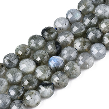 Natural Labradorite Beads Strands, Faceted, Flat Round, 6x4.5mm, Hole: 0.8mm, about 59~60pcs/strand, 14.17~14.57 inch(36cm~37cm)