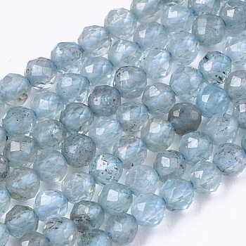 Natural Apatite Beads Strands, Round, Faceted, 2mm, Hole: 0.7mm, about 155pcs/strand, 15.75 inch(40cm)