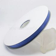Polyester Organza Ribbon, Blue, 3/8 inch(9mm), 200yards/roll(182.88m/roll)(ORIB-L001-03-337)
