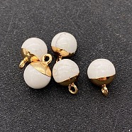 Natural Howlite Round Charms with Golden Plated Metal Findings, 15x10mm(PW-WG96610-09)
