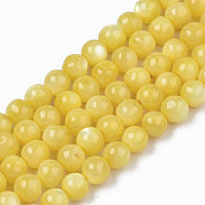 Natural Freshwater Shell Beads Strands, Dyed, Round, Yellow, 4mm, Hole: 0.8mm, about 97~99pcs/strand, 14.88 inch~15.16 inch(37.8~38.5cm)(SHEL-N003-24-B08)