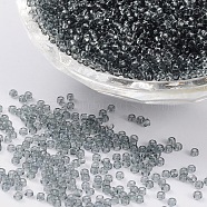 11/0 Grade A Transparent Glass Seed Beads, Round, Gray, 2x1.5mm, Hole: 0.8mm, about 3000pcs/50g(X-SEED-Q006-F26)