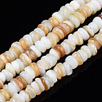 Natural Freshwater Shell Beads Strands, Dyed, Chip, White, 3~4x0.3~3mm, Hole: 0.6mm, about 220~225pcs/strand, 14.76 inch~15.16 inch(37.5cm~38.5cm)(X-SHEL-S278-067G)