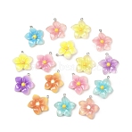 Opaque Resin Pendants, Flower, with Platinum Tone Iron Loops, Mixed Color, 32.5x30x9mm, Hole: 2mm(RESI-G117-01)