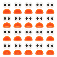 ANATTASOUL 60Pcs 2 Styles Plastic Doll Craft Eyes & Mouth Cabochons, for Stuffed Toys Accessories, Mixed Color, 13.5~16.5x23.5~24x3.8~10mm, 30pcs/style(KY-AN0001-03)