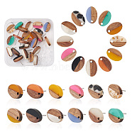 12Pairs 12 Colors Opaque Resin & Walnut Wood Stud Earring Findings, with 304 Stainless Steel Pin and 30Pcs Plastic Ear Nuts, Oval, Mixed Color, 15x10mm, Hole: 1.8mm, Pin: 0.7mm, 1pair/color,(MAK-CD0001-05)