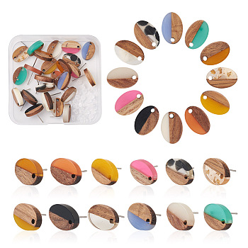 12Pairs 12 Colors Opaque Resin & Walnut Wood Stud Earring Findings, with 304 Stainless Steel Pin and 30Pcs Plastic Ear Nuts, Oval, Mixed Color, 15x10mm, Hole: 1.8mm, Pin: 0.7mm, 1pair/color,