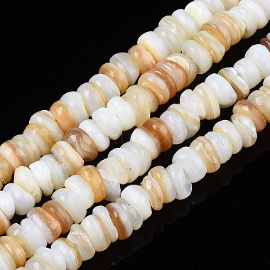 Natural Freshwater Shell Beads Strands(X-SHEL-S278-067G)-1