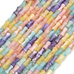 Natural Freshwater Shell Beads Strands, Dyed, Bamboo Stick, Colorful, 6x3mm, Hole: 0.6mm, about 62~63pcs/strand, 14.80~15 inch(37.6~38.1cm)(SH-CBA93AD-04)