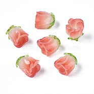 Plastic Beads, Flower, Tomato, 15x14x14mm, Hole: 1.2mm(KY-N015-036C)