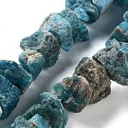 Raw Rough Natural Apatite Beads Strands, Nuggets, 9~17x7~16x8~14mm, Hole: 0.9mm, about 21~25pcs/strand, 7.09''~7.87''(18~20cm)(G-P528-A15-01)