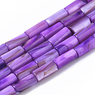 Natural Freshwater Shell Beads, Dyed, Column, Violet, 10x4.5mm, Hole: 0.9mm, about 36pcs/Strand, 14.17 inch(36 cm)(SHEL-R047-01C)