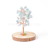 Natural Aquamarine Chips with Brass Wrapped Wire Money Tree on Wood Base Display Decorations, for Home Office Decor Good Luck, 51.5~75x115mm(DJEW-B007-05C)