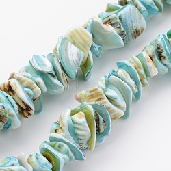 Natural Shell Bead Strands, Dyed, Nuggets, Sky Blue, 10~20x8~12x3~6mm, Hole: 1mm, about 15.7 inch(X-BSHE-P010-04)