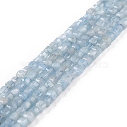 Natural Aquamarine Beads Strands, Faceted, Cube, 3x3x3mm, Hole: 0.8mm, about 126pcs/strand, 15.51 inch(39.4cm)(G-K315-A01)