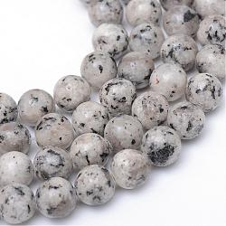 Natural Sesame Jasper/Kiwi Jasper Bead Strands, Round, Light Grey, 8~9mm, Hole: 1mm, about 46~47pcs/strand, 14.9~15.1 inch(G-R345-8mm-11)
