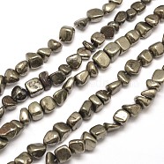 Natural Pyrite Nuggets Beads Strands, Tumbled Stone, 8~10x6~8mm, Hole: 1mm, about 15.7 inch(G-I125-82)