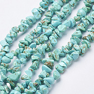 Synthetic Turquoise Beads Strands, Dyed, Chips, Turquoise, 3~8x3~8mm, Hole: 1mm, 34 inch(G-D283-3x5-10)