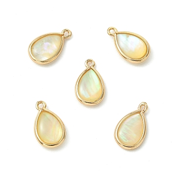 5Pcs Brass Pave Natural Paua Shell Teardrop Charms, White, Golden, 14x10mm, Hole: 1.4mm