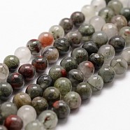 Natural African Bloodstone Beads Strands, Heliotrope Stone Beads, Round, 10mm, Hole: 1mm, about 37pcs/strand, 14.9 inches~15.1 inches(G-G735-32-10mm)