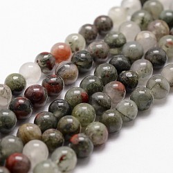 Natural African Bloodstone Beads Strands, Heliotrope Stone Beads, Round, 10mm, Hole: 1mm, about 37pcs/strand, 14.9 inch~15.1 inch(G-G735-32-10mm)