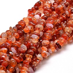 Dyed Natural Carnelian Chip Beads Strands, 4~14x4~12mm, Hole: 1mm, about 15.3 inch~16.1 inch(X-G-E271-105)