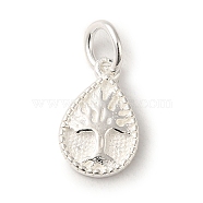 925 Sterling Silver Teardrop with Tree of Life Charms, with Jump Rings & 925 Stamp, Silver, 13x8x1mm, Hole: 3mm(STER-K180-04S)