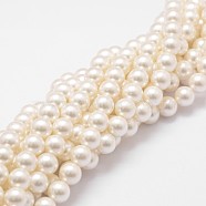 Shell Pearl Bead Strands, Loose Beads for Jewelry Making, Grade A, Round, Floral White, 6mm, Hole: 1mm, about 62pcs/strand, 16 inch(X-BSHE-L026-03-6mm)