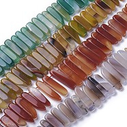 Dyed Natural Agate Beads Strands, Tusk Shape, Mixed Color, 16.5~39x7.5~9.5x5.5~6.5mm, Hole: 1.5mm, about 38~40pcs/strand, 14.8~15.3 inch(37.5~39cm)(G-F595-G)