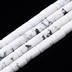 Synthetic Turquoise Beads Strands, Dyed, Column, White, 5~6x3mm, Hole: 0.8mm, about 62~63pcs/strand, 15.35~15.75 inch(39~40cm)(G-S366-076C)