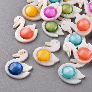Natural Freshwater Shell Pendants, Dyed, Duck, Mixed Color, 27x20x6mm, Hole: 1.2mm
