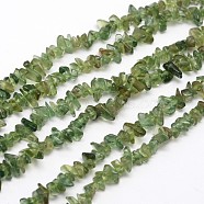 Chips Natural Green Apatite Beads Strands, 3~8x3~12x3~5mm, Hole: 1mm, about 16 inch(G-N0164-26)