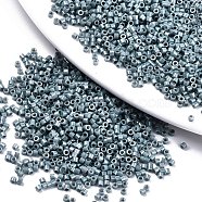 11/0 Grade A Baking Paint Glass Seed Beads, Cylinder, Uniform Seed Bead Size, Opaque Colours Luster, Slate Gray, about 1.5x1mm, Hole: 0.5mm, about 20000pcs/bag(SEED-S030-1040)