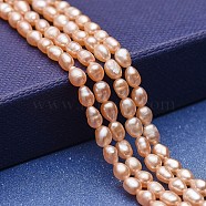 Natural Cultured Freshwater Pearl Beads Strands, Potato, Bisque, 4~5x3~3.5mm, Hole: 0.5mm, about 76~77pcs/strand, 13.58 inch(34.5cm)(PEAR-P060-17-01)