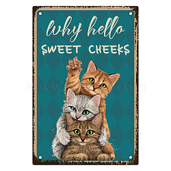 Iron Sign Posters, for Home Wall Decoration, Rectangle with Word Why Hello Sweet Cheeks, Cat Pattern, 300x200x2.2mm(AJEW-WH0157-556)