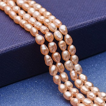 Natural Cultured Freshwater Pearl Beads Strands, Potato, Bisque, 4~5x3~3.5mm, Hole: 0.5mm, about 76~77pcs/strand, 13.58 inch(34.5cm)