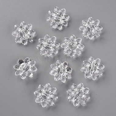 Perles en acrylique transparente(TACR-491-01)-3