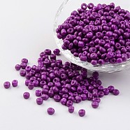 6/0 Baking Paint Glass Seed Beads, Dark Violet, 4~5x3~4mm, Hole: 1~2mm, about 427pcs/50g(X-SEED-S003-K11)
