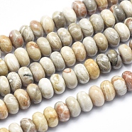 Natural Fossil Coral Beads Strands, Rondelle, 8x4~5mm, Hole: 1mm, about 84pcs/strand, 15.7 inches(G-K256-10B)