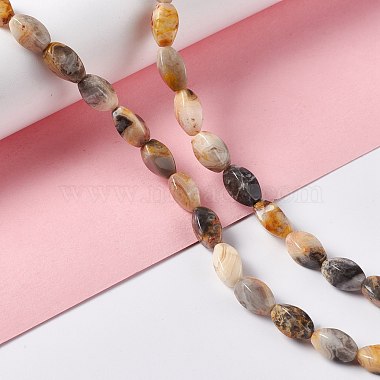 Natural Crazy Agate Beads Strands(G-L243B-20)-2