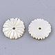 Perles de coquillage blanc naturel(X-SSHEL-R045-23)-2